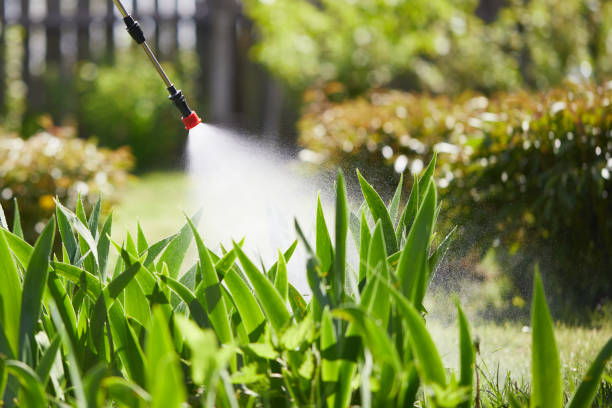 24/7 Emergency Ant Control experts in New Market, VA
