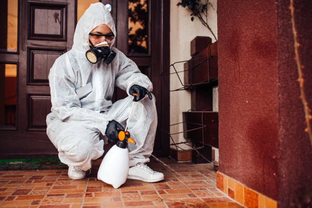 Reliable Ant Control contractor in New Market, VA by Show Me Pest Control